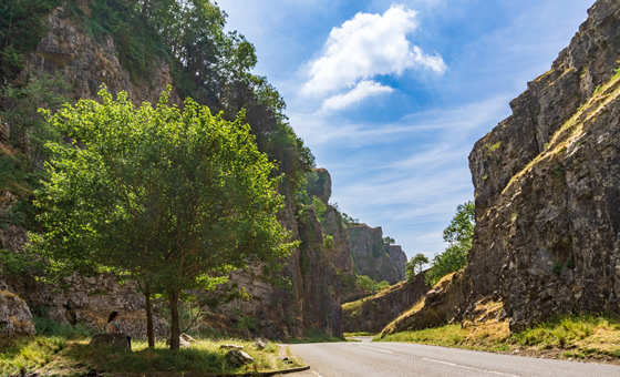 Cheddar Gorge