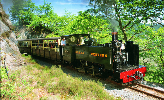 Rheidol Steam Railway